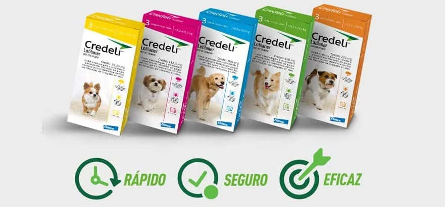 Credeli